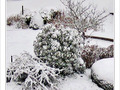 Blanches couleurs -- 12/01/10