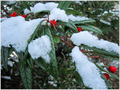 Quand le Rouge para�t -- 04/02/11