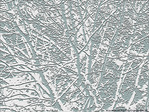Neiges d'antan -3- -- 13/02/10