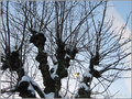 �claircie -- 28/01/11