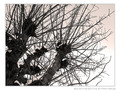 O� va la Neige�? -- 26/02/12