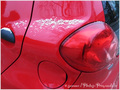 En Rouge et Blanc -- 01/12/10