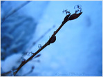 Quand le Soleil fait fondre la Neige -- 27/12/10