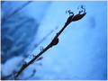 Quand le Soleil fait fondre la Neige -- 27/12/10