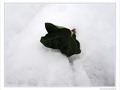 Rien aux alentours�? -- 14/01/10