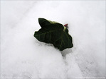 Rien aux alentours�? -- 14/01/10