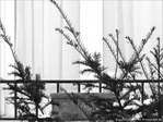 Neige au balcon -- 25/01/10