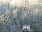 Pics de Pollution. Evitons la voiture�! -- 10/01/09