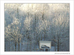 Pics de pollution. Evitons la voiture�! -- 10/01/09