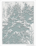 Neiges d'antan -4- -- 13/02/10