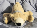 Hibernation�! -- 12/01/07