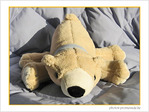Hibernation�! -- 12/01/07