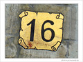 Num�ro 16 -- 20/11/08