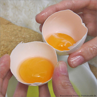 Oeufs jumeaux s�par�s. R�ponse de la r�ponse.