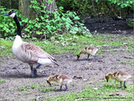 Venez les Enfants�! Fini de jouer�! C'est  la rentr�e�! -- 04/10/12