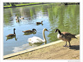 Rencontre au soleil -- 19/07/10