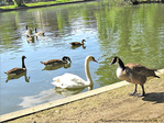 Rencontre au soleil -- 19/07/10