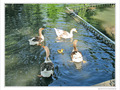 Comment passer avec le petit�? -- 27/05/10