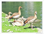 En famille au soleil