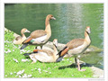 En famille au soleil -- 21/06/10