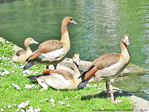 En famille au soleil -- 21/06/10