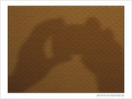 L'ombre de moi-m'aime�! -- 06/02/07