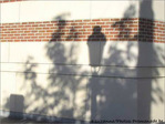 Fid�le comme une ombre... -- 06/01/05