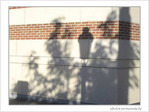 Fid�le comme une ombre... -- 06/01/05