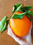 Orange g�ante -- 25/03/08