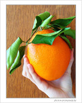 Orange g�ante -- 25/03/08