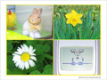Au ras des p�querettes -- 28/03/05