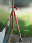 Je me moque de la Pluie -- 24/04/08