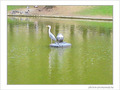 L'oiseau rare -- 19/04/05