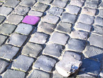 Si le Gris �tait Rose ...? -- 28/09/06