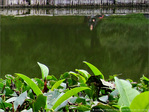 P�che au Fil -- 06/11/12