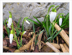 Premi�re sortie de printemps -- 04/03/10