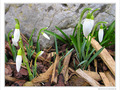 Premi�re sortie de printemps -- 04/03/10