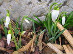 Premi�re sortie de printemps -- 04/03/10