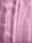 Roses reflets -- 14/07/08