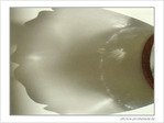Patte de plume -- 07/06/09