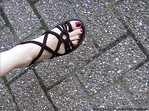 Le pied de l'�t� 2009