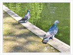 Habitez-vous chez vos parents�? -- 07/07/10