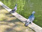 Habitez-vous chez vos parents�? -- 07/07/10