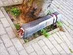 Coup de Col�re -- 12/04/12