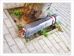Coup de Col�re -- 12/04/12