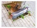Coup de Col�re -- 12/04/12