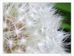 A�r� pour souffler -- 11/06/10