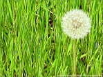 Souffle -- 20/04/09