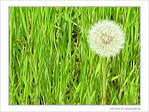 Souffle -- 20/04/09