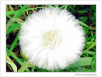 Souffle d'avril -- 16/04/05